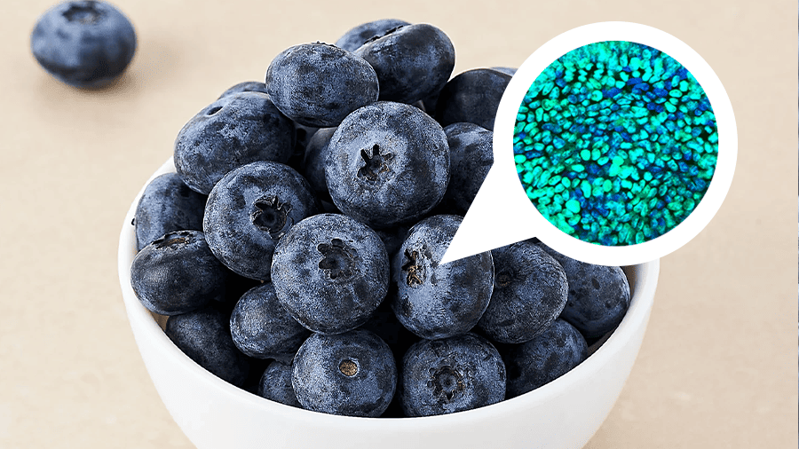 Blueberries