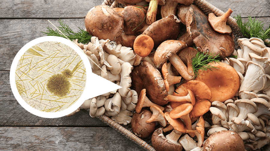 Mushrooms
